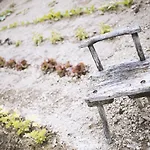 Moonfra Guest house Antignano (Piedmont)