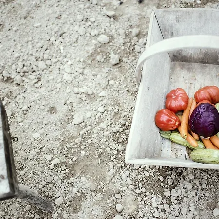 Moonfra 4* Antignano (Piedmont)