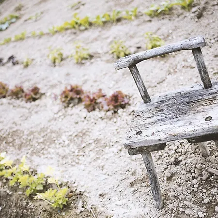 Moonfra Pensión Antignano (Piedmont)