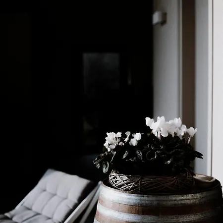 Gasthuis Moonfra Antignano (Piedmont)