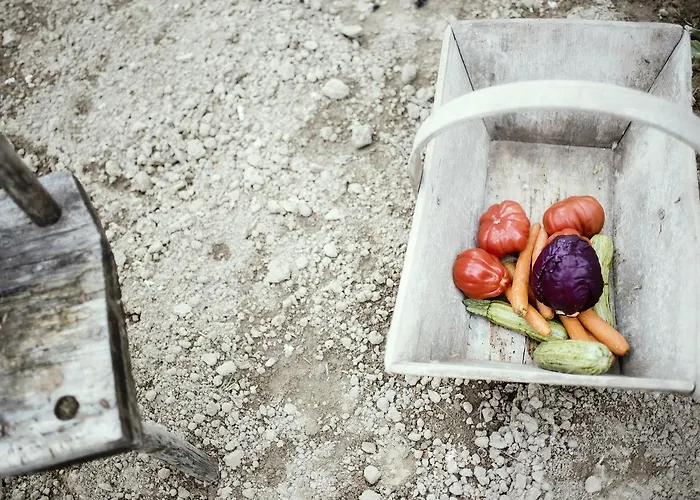 Moonfra 4* Antignano (Piedmont)