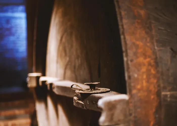 Moonfra 게스트하우스