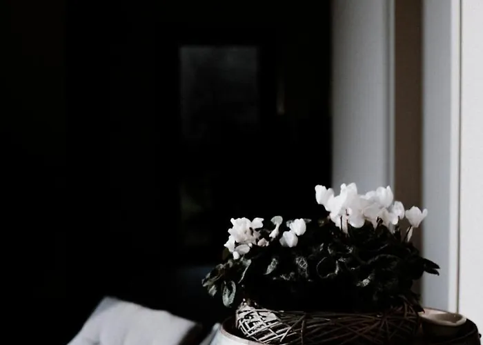 게스트하우스 Moonfra Antignano (Piedmont)