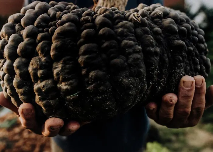 Moonfra Antignano (Piedmont)